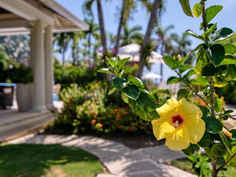 Tryall Club - Ambiance Sea Salt , Montego Bay  