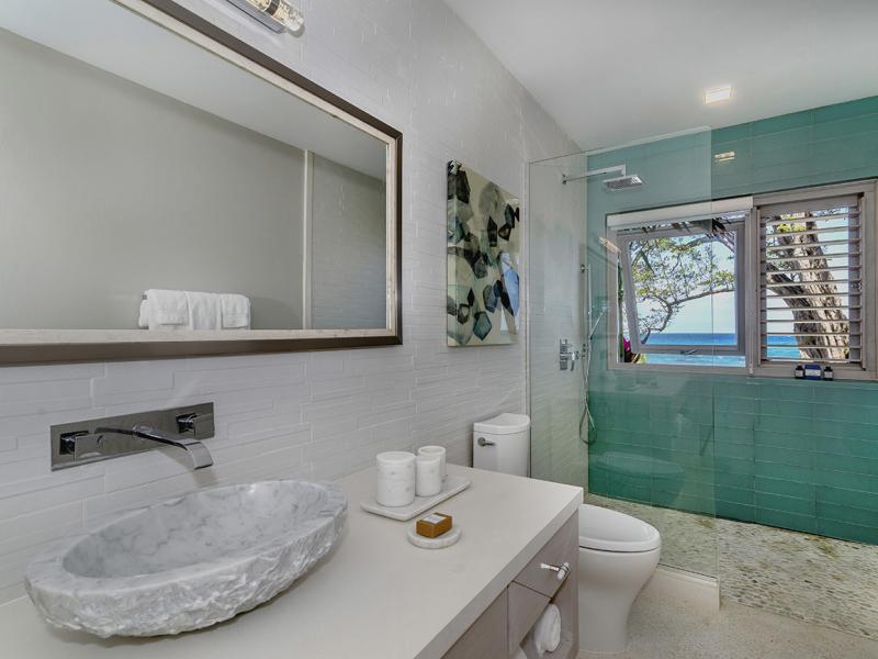 Buttonwood Reef and Sea Biscuit Cottage , Ocho Rios  