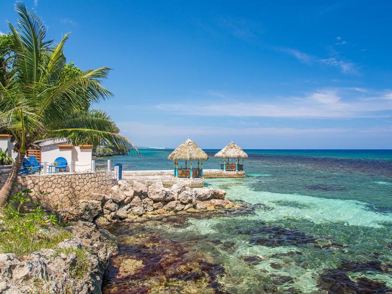 Buttonwood Reef and Sea Biscuit Cottage , Ocho Rios  