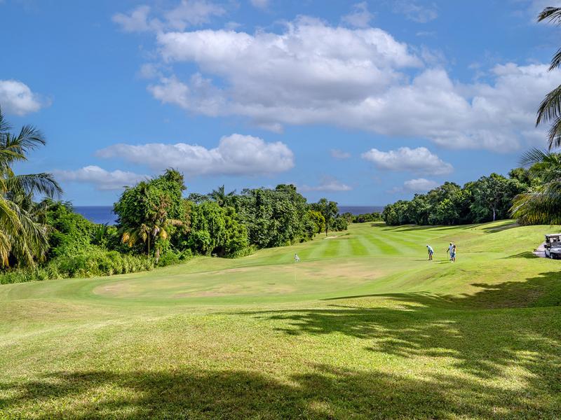 Tek Time, Cinnamon Hill , Montego Bay  
