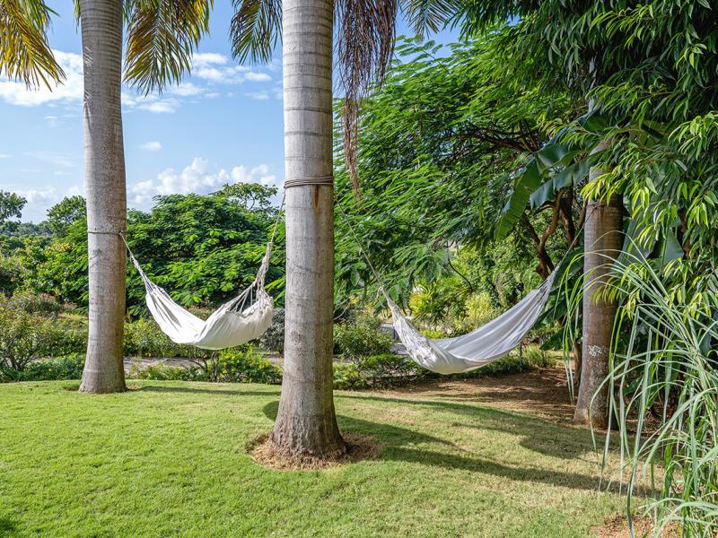 Tek Time, Cinnamon Hill , Montego Bay  