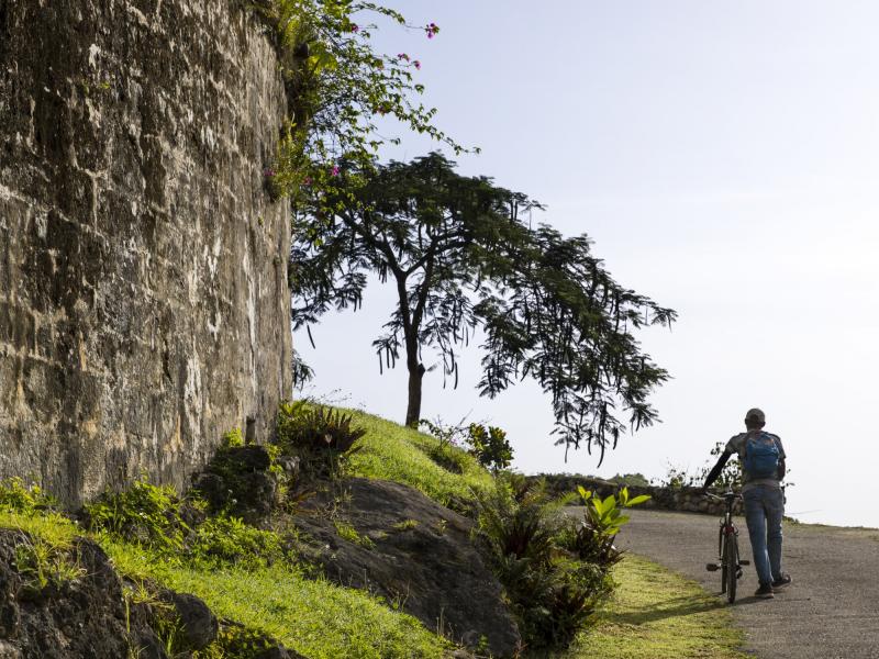 Country House at Good Hope , Montego Bay  
